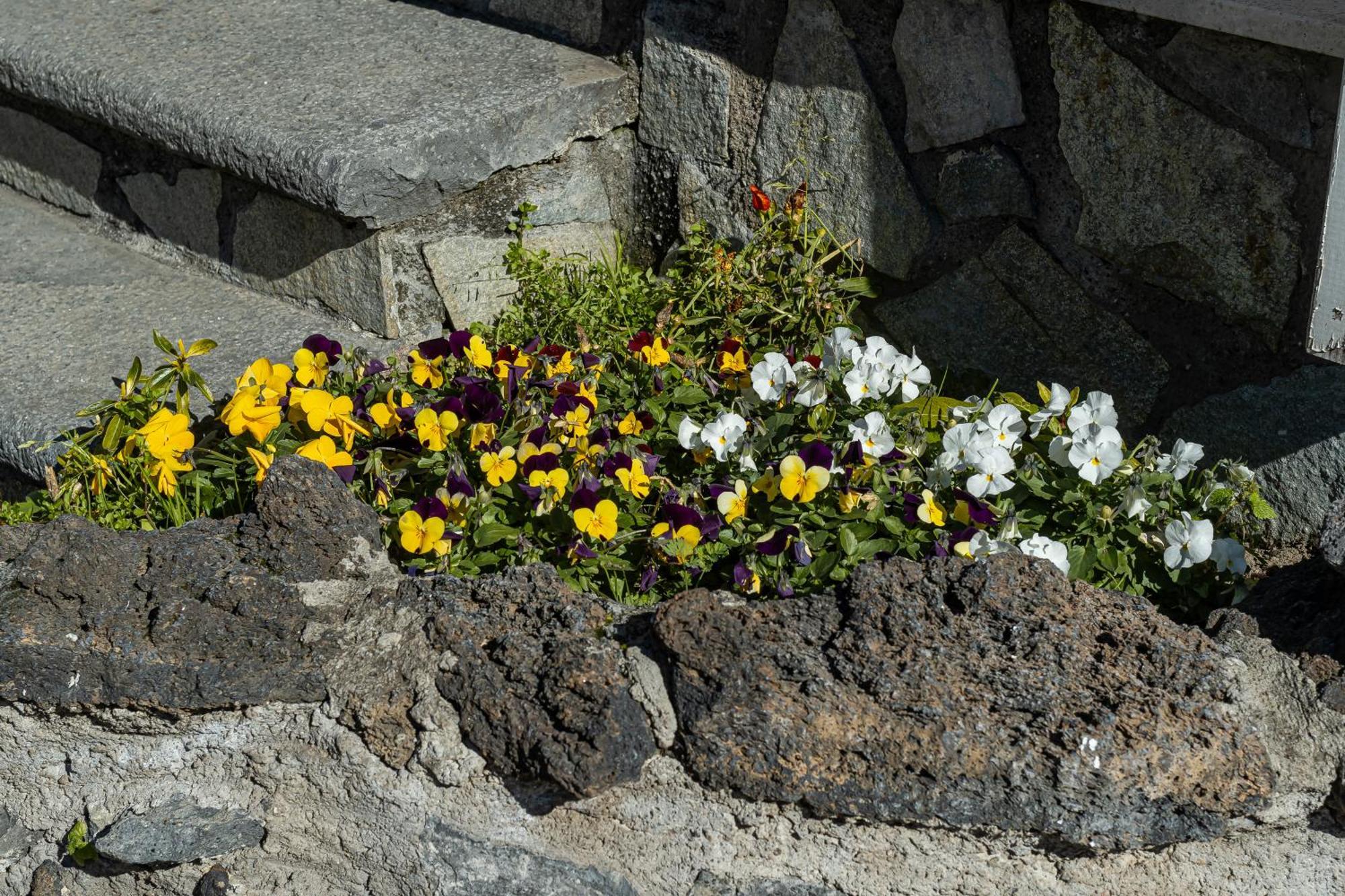 B&B Vesuvian Stone Pompéi Extérieur photo